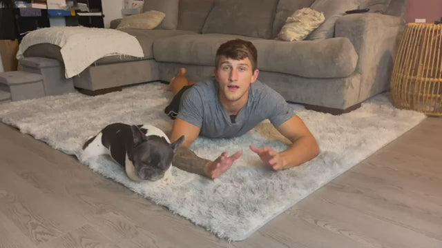 Gray Carpet for Living Room Plush Rug Bed Room Floor Fluffy Mats Anti-slip Home Decor Rugs Soft Velvet Carpets Kids Room Blanket
